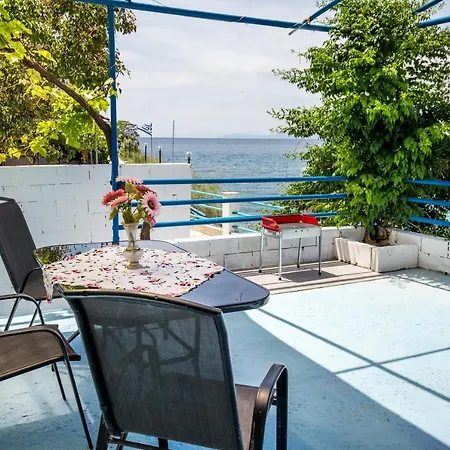 Mermaid Apartment